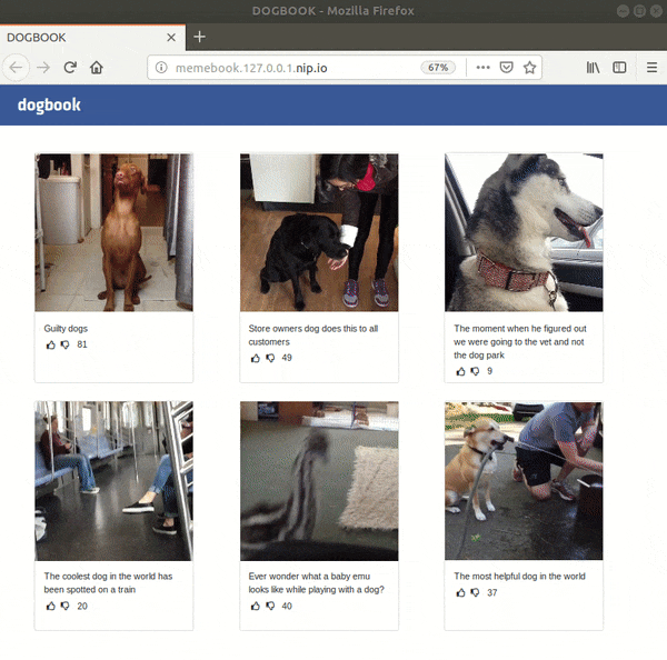 Dogbook Screen Recording